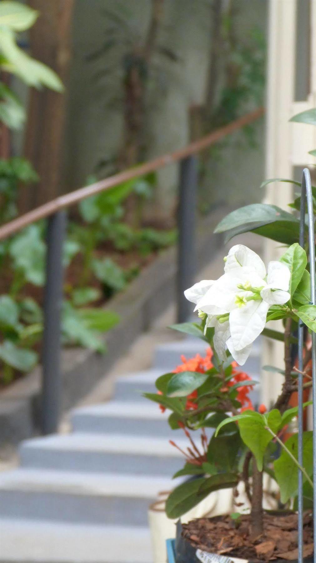 Olah Hostel - Vila Mariana São Paulo Kültér fotó